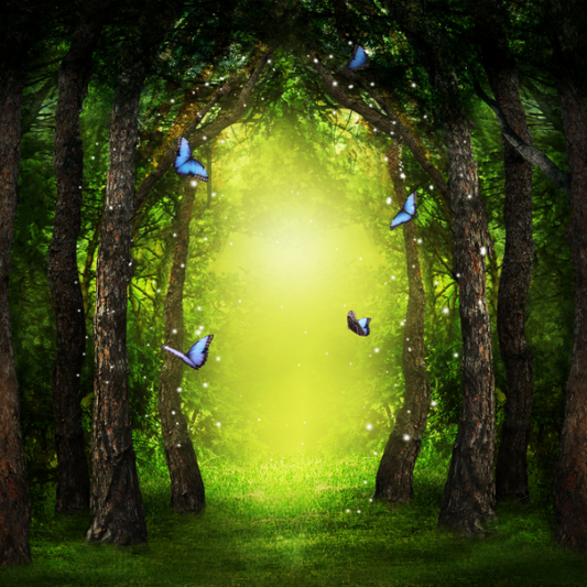 Fairies and Butterflies Herbal Tea Blend Refill