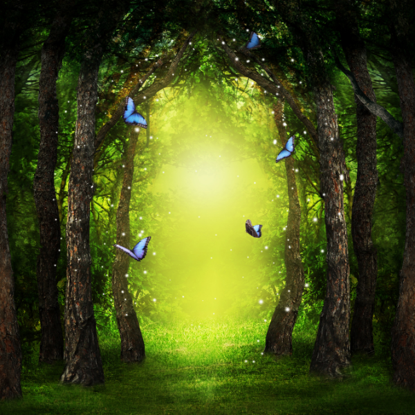 Fairies and Butterflies Herbal Tea Blend Tin