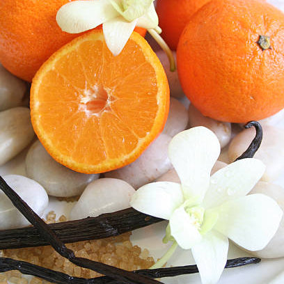 Healing Goddess Herbal Tea Blend refill